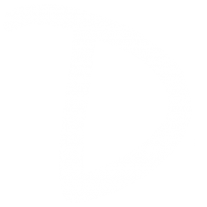 Dani Web Solutions - 20+ years of experience.